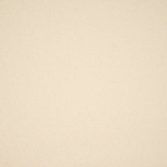 Hobby Vilt | lapje 20 x 30 cm | Crème Vilt VILT - PES - 2030 - CREME - A41