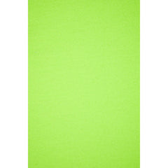 Hobby Vilt | lapje 20 x 30 cm | neon groen Vilt VILT - PES - 2030 - NEON - GROEN - A62