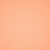 Hobby Vilt | lapje 20 x 30 cm | zalm roze Vilt VILT - PES - 2030 - ZALM - ROZE - 10