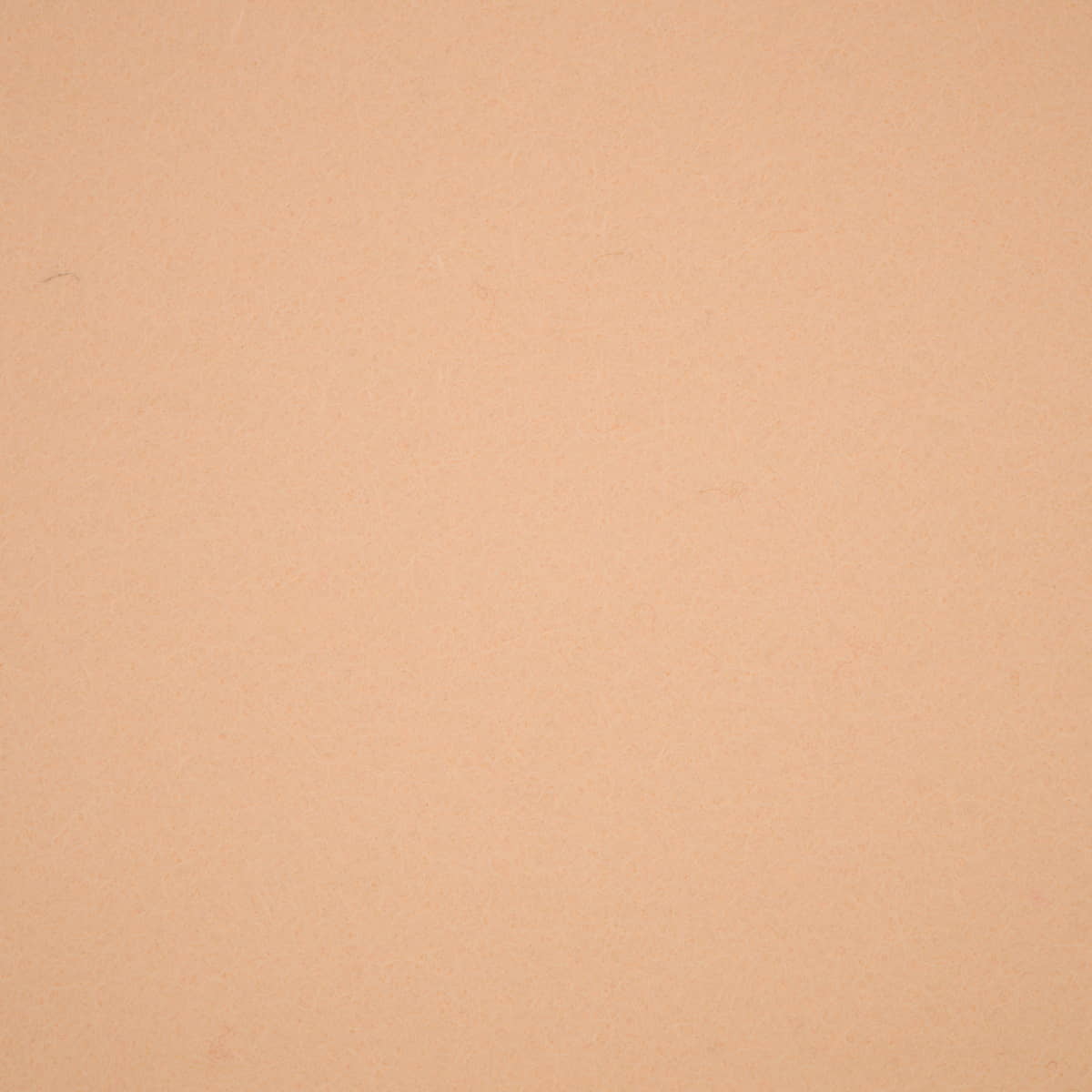 Vilt wol | creme Vilt VILT - WOL - 3710 - CREME