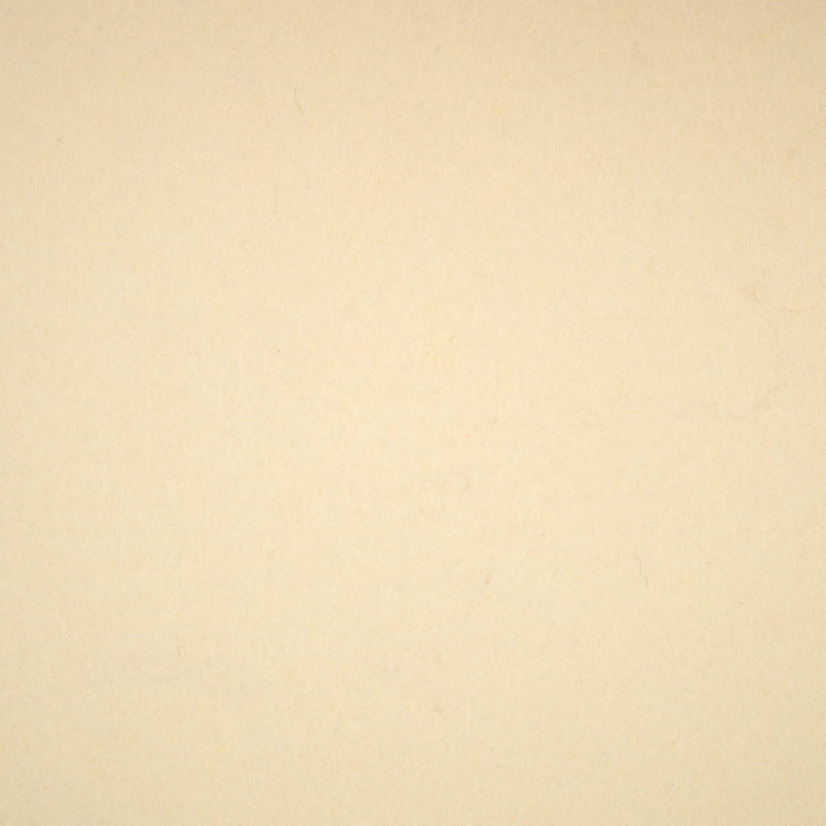 Vilt wol | ecru Vilt VILT - WOL - 3700 - ECRU