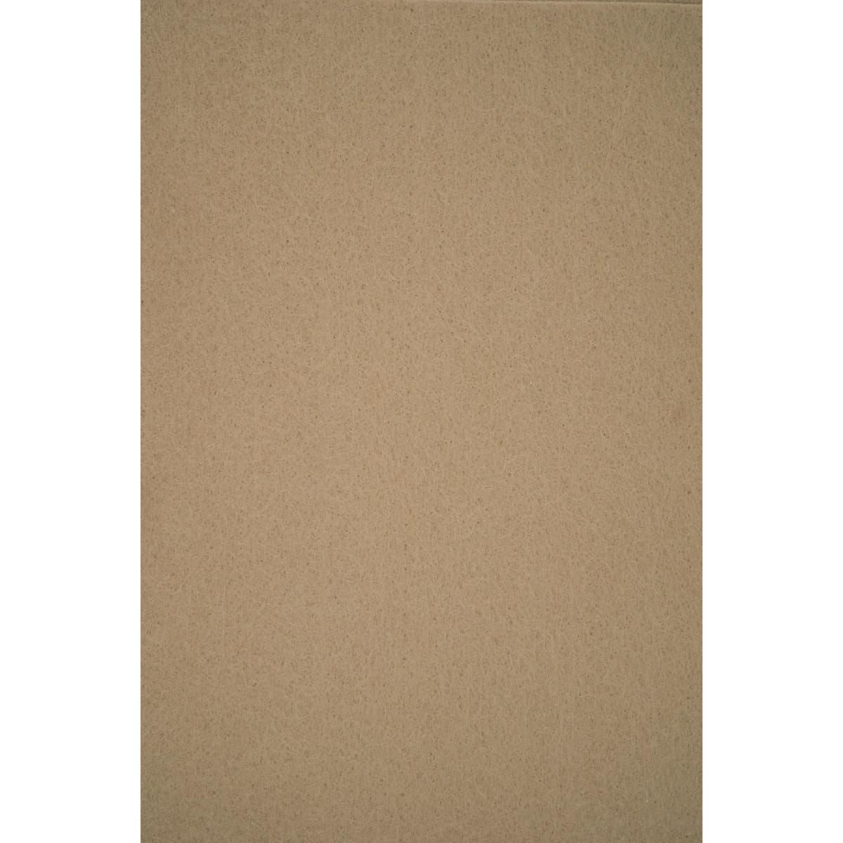 Hobby Vilt | lapje 20 x 30 cm | donker beige Vilt VILT - PES - 2030 - DONKER - BEIGE - A421