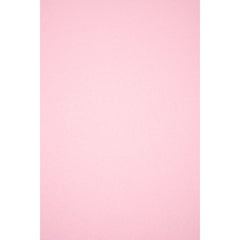 Hobby Vilt | lapje 20 x 30 cm | licht Roze Vilt VILT - PES - 2030 - LROZE - 45