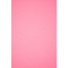 Hobby Vilt | lapje 20 x 30 cm | neon roze Vilt VILT - PES - 2030 - NEON - PINK - 2